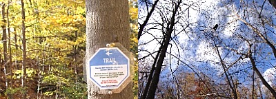 ejf_trail
