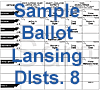 Lansing Ballot Dist 8