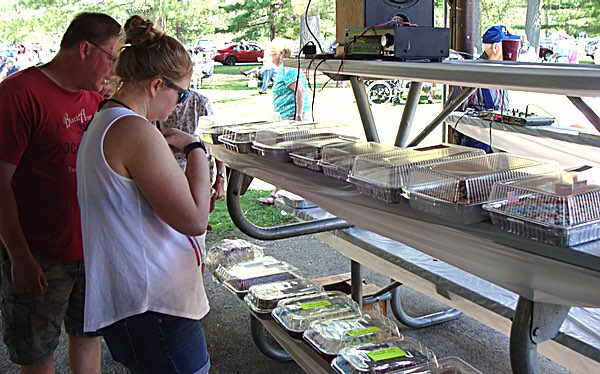 Lansing Lions 4th of July Picnic