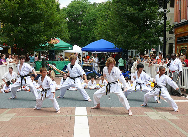 monroe Group Karate Demo