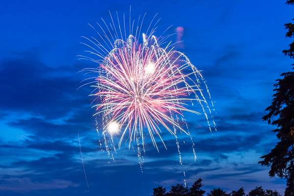 Lansing Fireworks - Diane Duthie