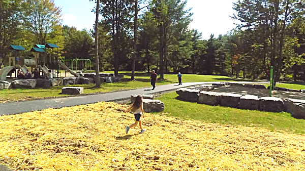 Village of Lansing Dedicates Three Parks