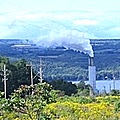 Cayuga Power Plant