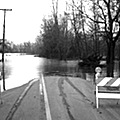 flood road120
