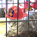 cat_firehat120