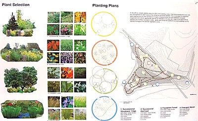 saltpoint_plantingplan