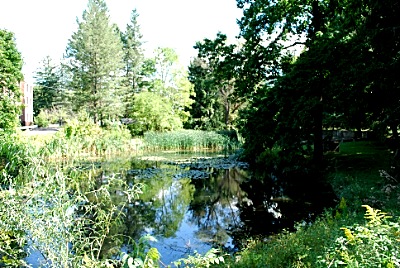 gs2 pond