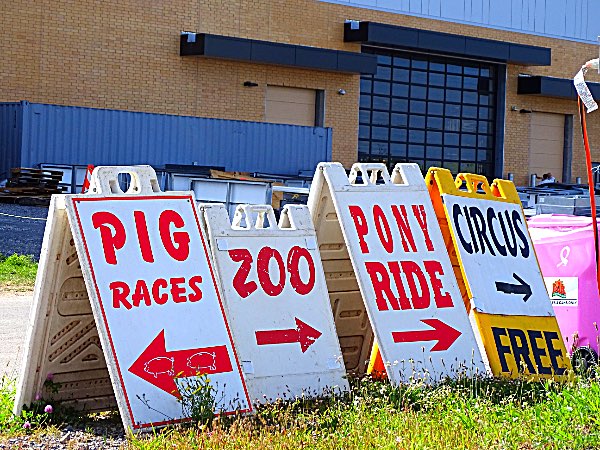 2019 NY State Fair Photo by Karen Veaner