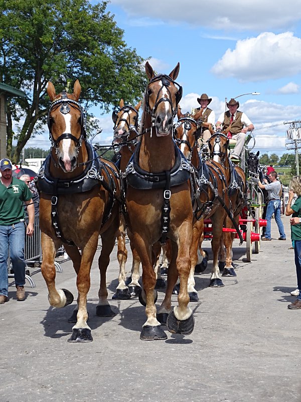 2019 NY State Fair Photo by Karen Veaner