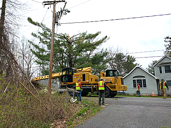 Highway Department clears tree from road