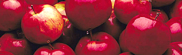 Gala Apples - Order Online & Save