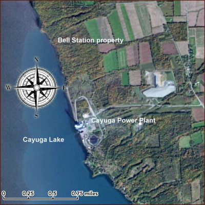 Cayuga Operating Company and Bell Station land
