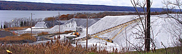 cargill salt600