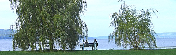 stewartpark waterfront