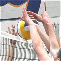 volleyball2_120
